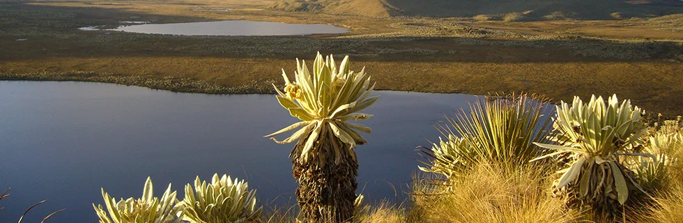 Img Message4 En Gb 1