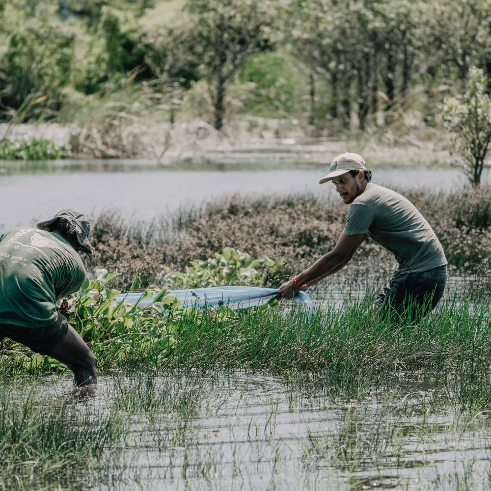 Feo 100 Resized Square Web