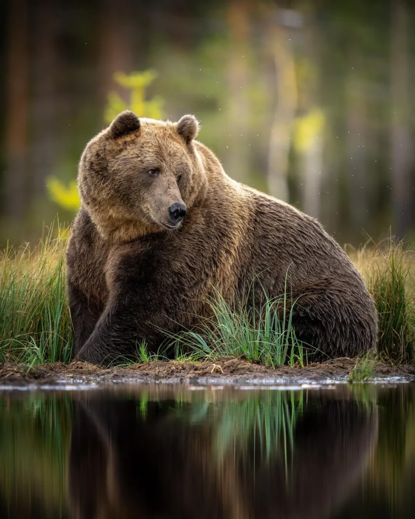 Web 398566621 17988555215394510 8609986837877189310 N